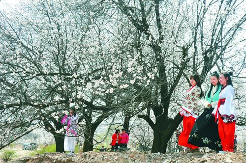 必发集团电子科技概念图